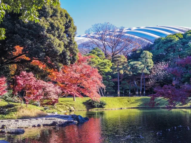 Tokyo Dome